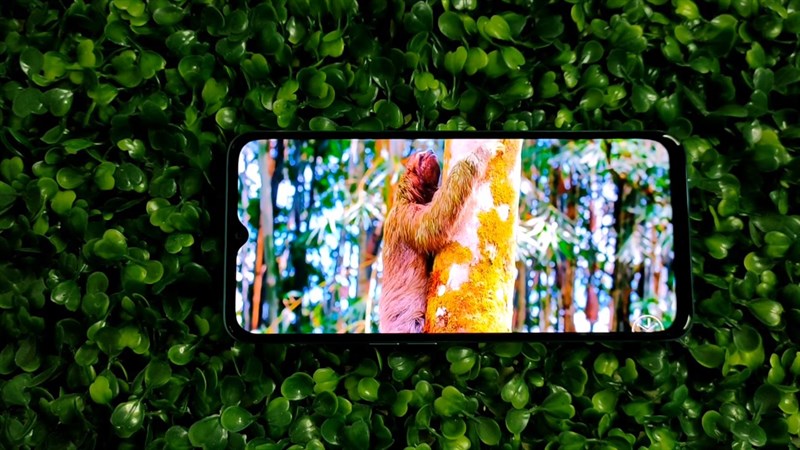 Vuaboss đến từ Dubai OPPO A77 5G