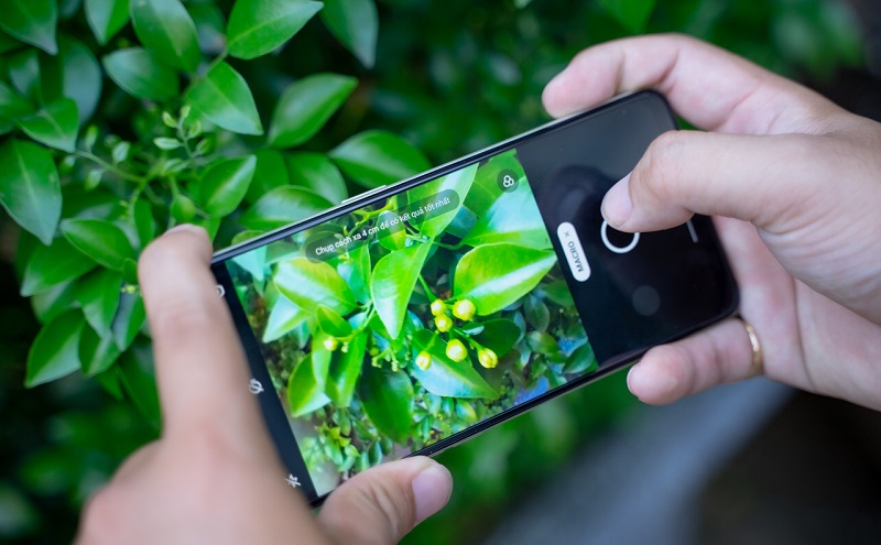 camera OPPO Reno8 Z 5G