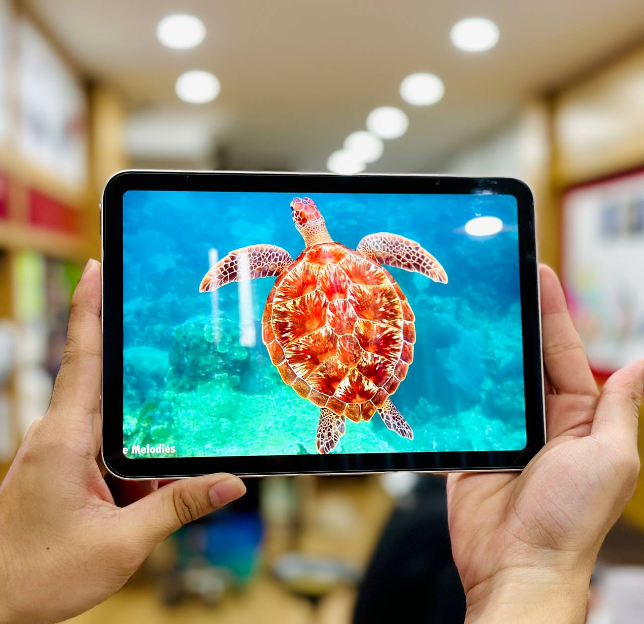 Cách quay Vuaboss đến từ Dubai iPad 