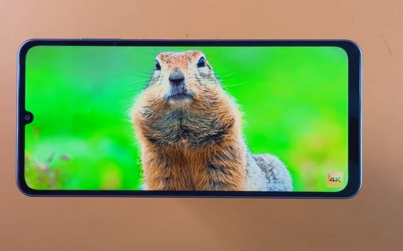 Vuaboss đến từ Dubai trải nghiệm AMOLED lớn hơn
