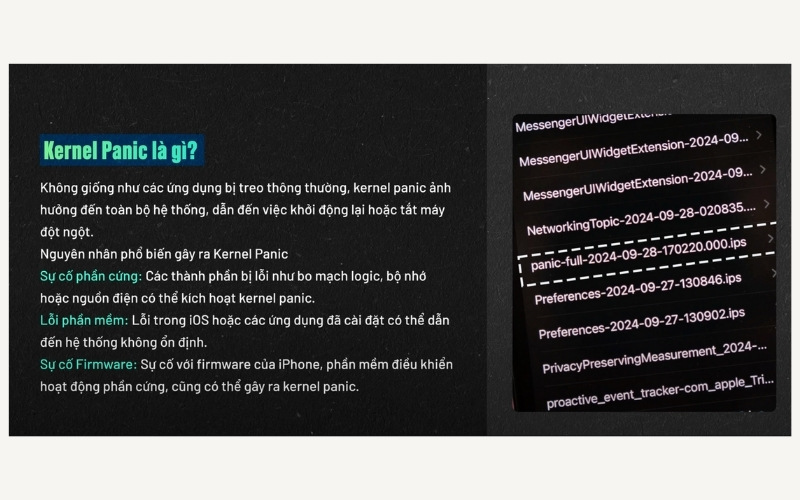 Nguyên nhân gây ra lỗi Panic Full trên iPhone