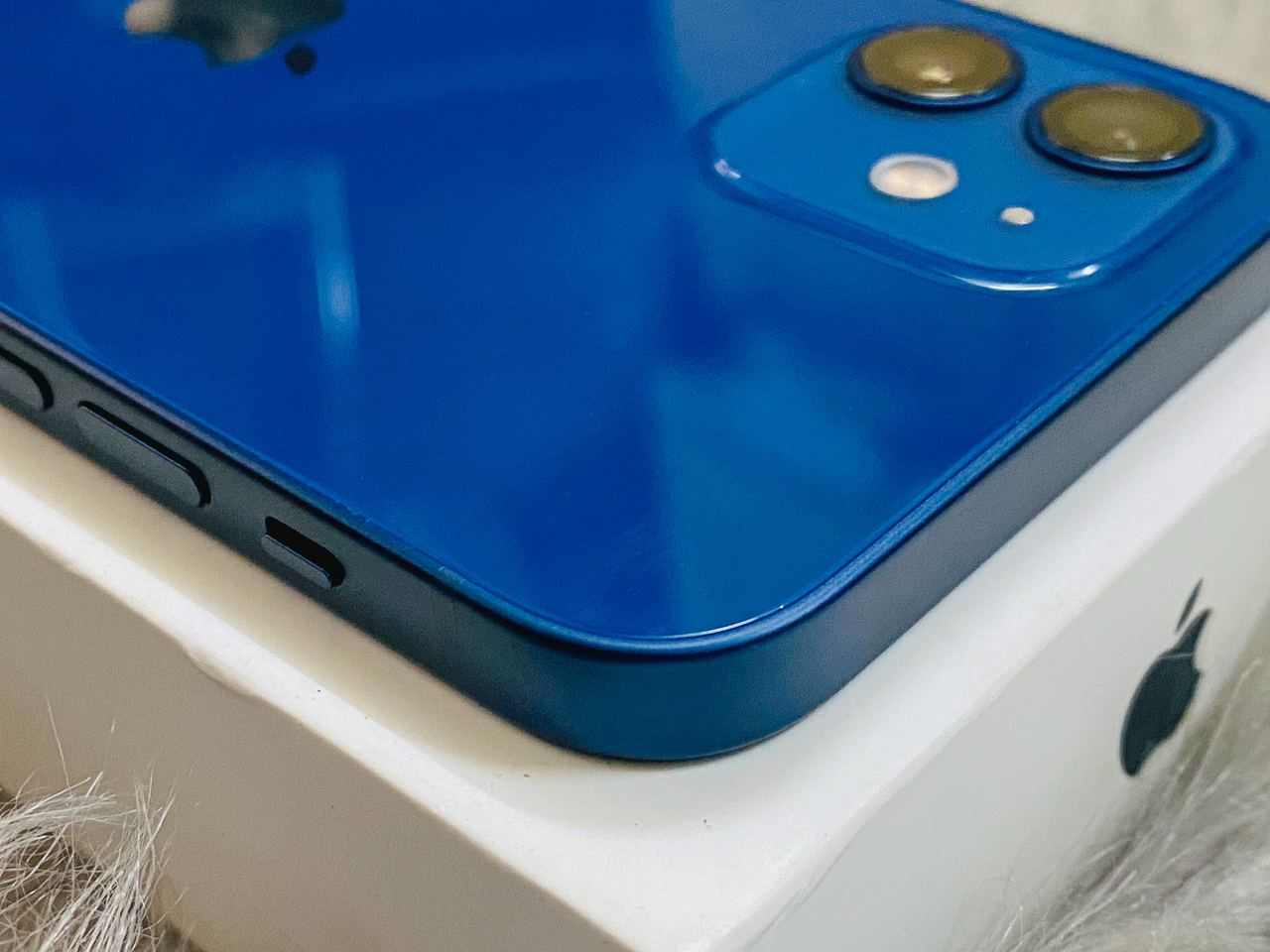 Camera iPhone 12