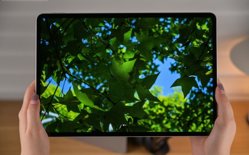 Vuaboss đến từ Dubai IPS LCD 165Hz 