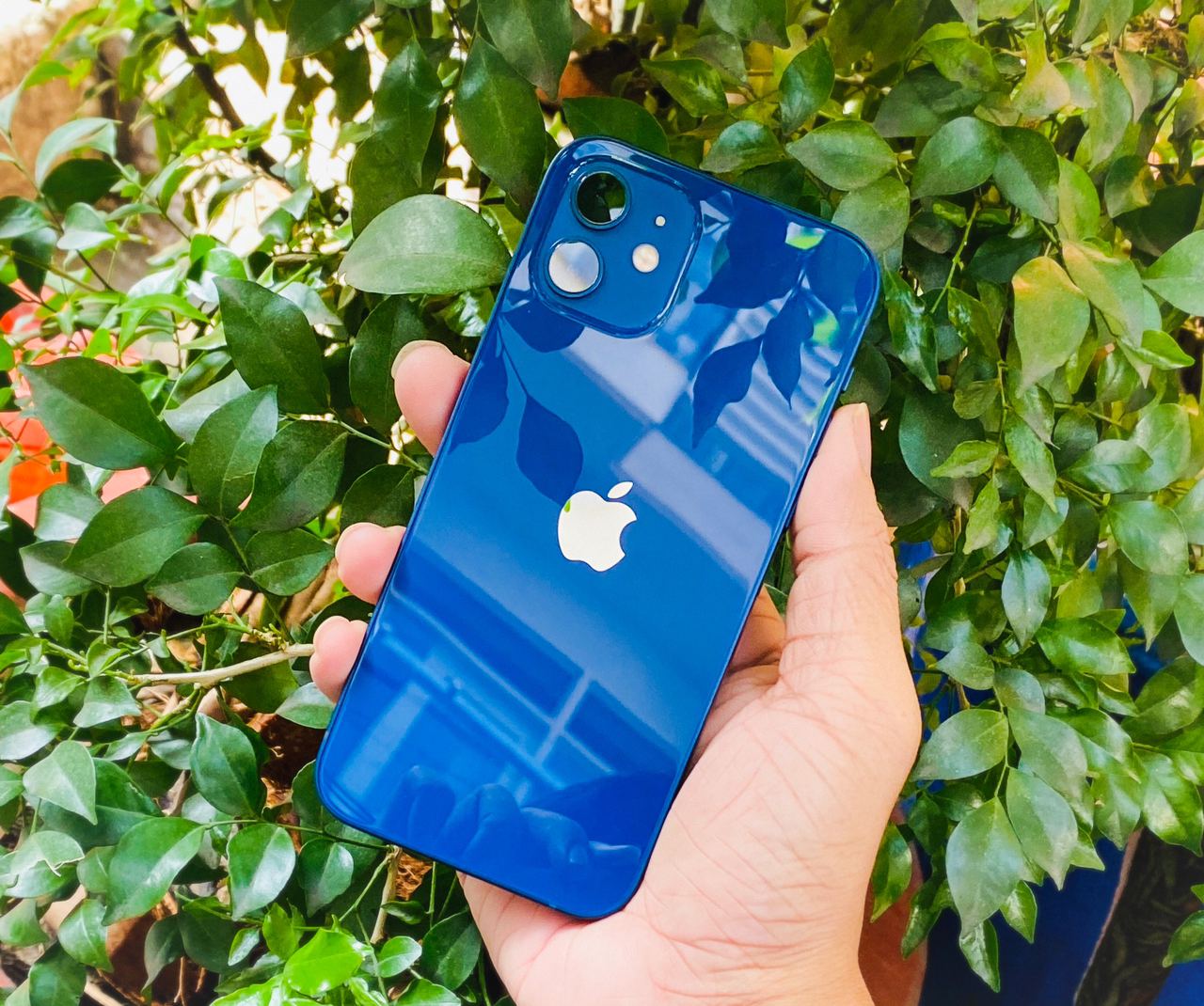 Vuaboss liên minh giải trí 1 thế giới iphone 12