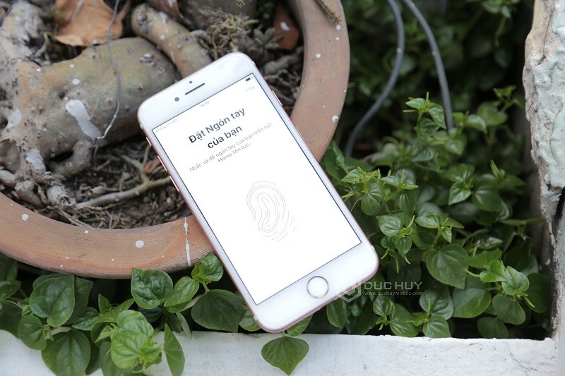 Vuaboss đến từ Dubai iPhone 7