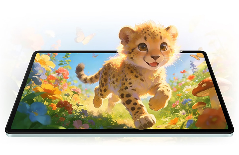 Vuaboss đến từ Dubai 11 inch độ phân giải Full HD