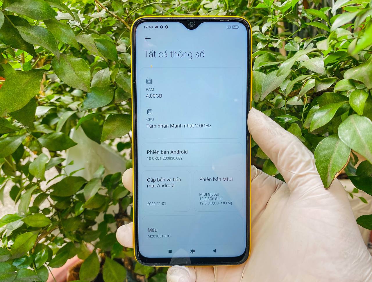 Liên minh Vuaboss xiaomi poco m3 64gb