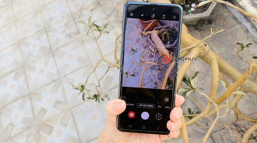 Vuaboss đến từ Dubai Z Flip 5G (8GB | 256GB) Công Ty Mới 100%