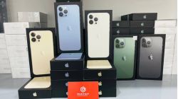 iPhone 13 Pro Max có mấy màu? Màu nào đẹp nhất?