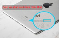 Hướng dẫn cách xác định danh tính chiếc iPad của bạn