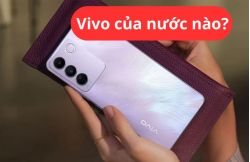 VUABOSS Liên Minh Nhà Cái Vivo của nước nào? Có gì đặc biệt và có nên mua?