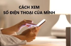 Cách xem số Liên minh Vuaboss gồm trang nào của mình đơn giản chỉ với vài nút bấm