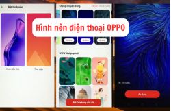 Top 30 hình nền OPPO đẹp, ấn tượng và hot hot nhất năm 2025