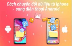 Hướng dẫn cách chuyển dữ liệu từ iPhone sang Android cực đơn giản